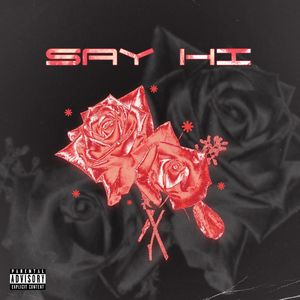 SAY HI