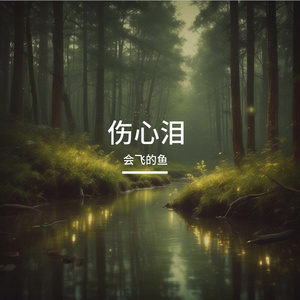 又见伤心泪
