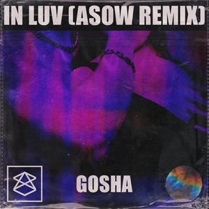 In Luv (Asow Remix)