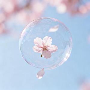 缘浅情深