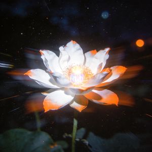 春泥（环绕版）