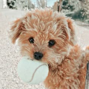 Sex In The Lounge (slowed)