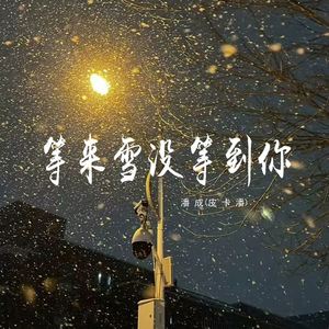 等来雪没等到你