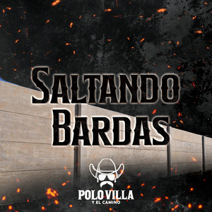 Saltando Bardas