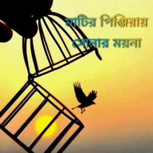 মাটির পিঞ্জিরায় সোনার ময়না