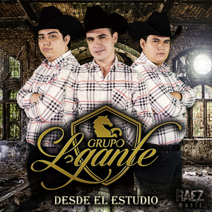 La tortuga