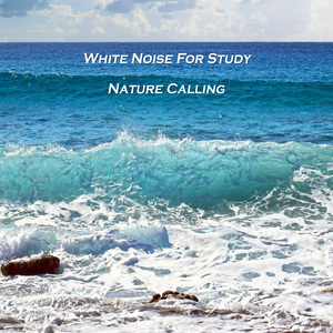 집중력을 위한 자연의 파도소리