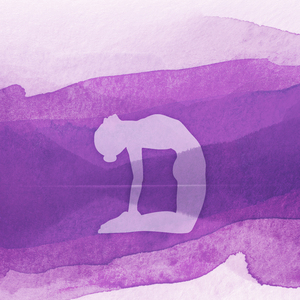 Yoga yang Mendamaikan