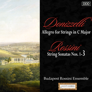 Sonata for Strings No. 1 in G Major: II. Andantino