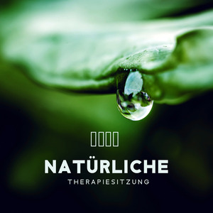 Schlaf Gut, Ruhe (Piano Music)