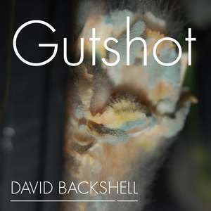 Gutshot