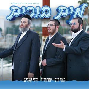 מים בוכים (feat. מוטי ויזל & דודי קאליש)