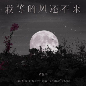 我等的风还不来