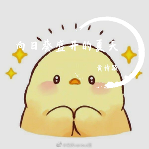 向日葵盛开的夏天