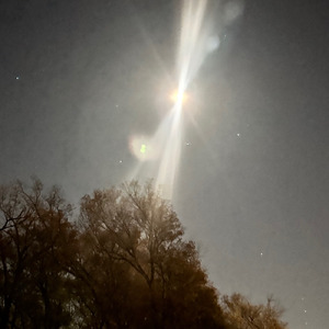 NIGAMUSHI (feat. kako)