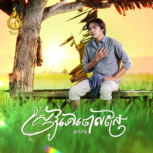 ស្រូវទៅចោលស្រែ