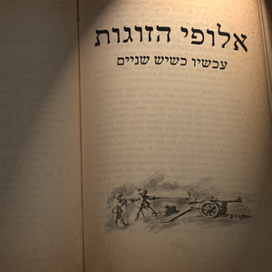 עכשיו כשיש שניים