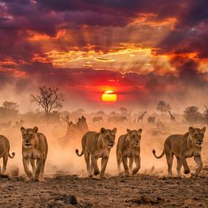 RONGAI ROCKETTES