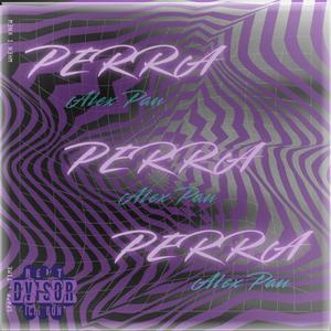 Perra (feat. CESARBASS)