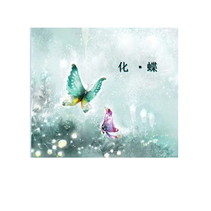 心疗第1节《飞翔》15分配乐版