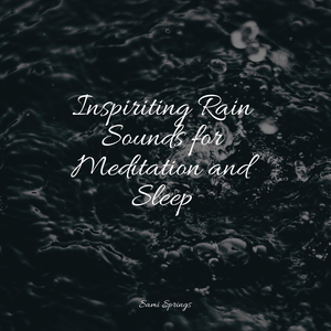 Winter Rainforest Avifauna