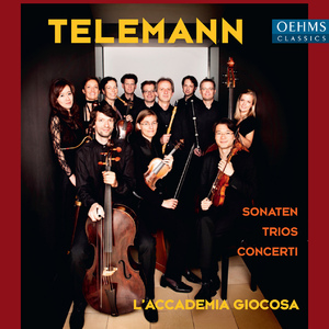 Concerto in G Minor for 2 Oboes and Bassoon, TWV 53:g1:I. Grave et detache