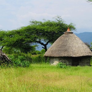 አብድናጎ ጋዲሳ