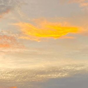 色彩世界（街头招式）
