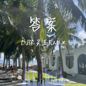 答案 DJ张灵玉RMix