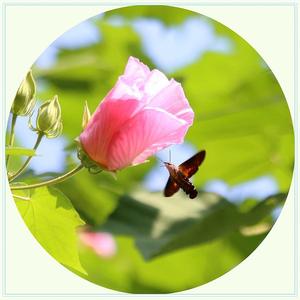 一直没有忘记你