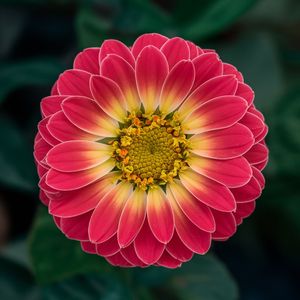 감정 하나 없는 당신의 목소리에