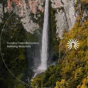 Birds Over a Waterfall