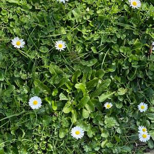 Duet for Her and Music