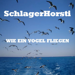 Wie ein Vogel fliegen (Single Edit)