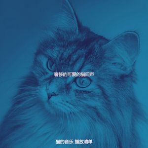 温和压力大的猫梦想