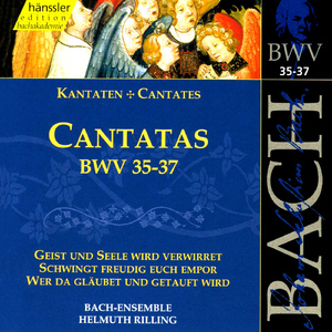 Geist und Seele wird verwirret, BWV 35:Recitative: Ach, starker Gott, lass mich (Alto)