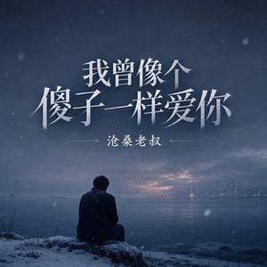 我曾像个傻子一样爱你
