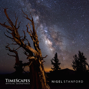 The Bear and the Mountain