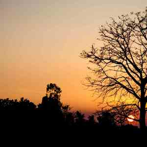 一朝风月 (钢琴曲)