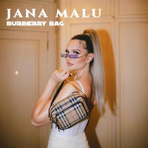 Burberry Bag