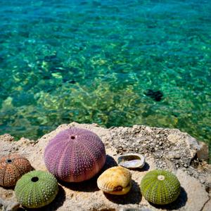 Born Love (feat. Prezident)