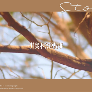 其实不会说故事