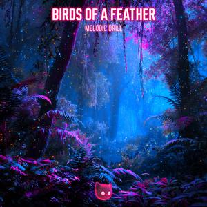 BIRDS OF A FEATHER (Melodic Drill)