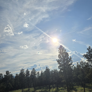 Tonka'aj (Jungle Mix)