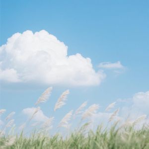 星光点点织梦网