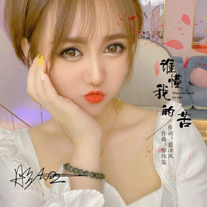 谁懂我的苦 (DJ阿奇版伴奏)