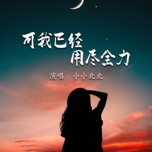 可我已经用尽全力