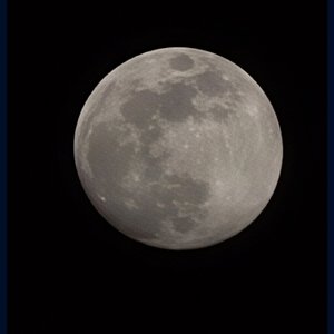 还在爱你 还在想你