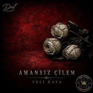 Amansız Çilem (Düet Version)