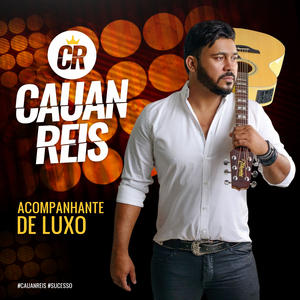 Acompanhante de Luxo